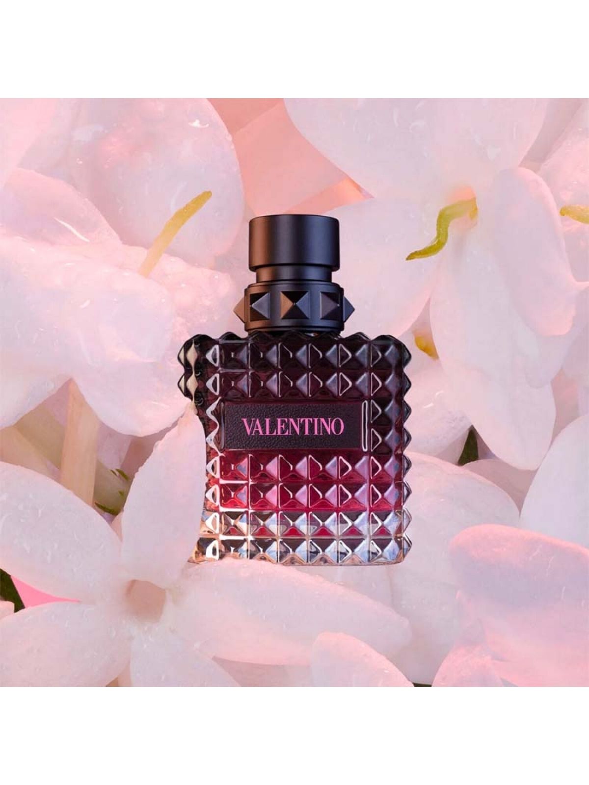Designer scent energy without the retail price.